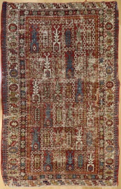 Rugs and Carpets